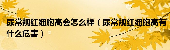 尿常規(guī)紅細(xì)胞高會怎么樣（尿常規(guī)紅細(xì)胞高有什么危害）