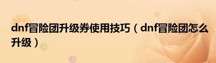 dnf冒險(xiǎn)團(tuán)升級(jí)券使用技巧（dnf冒險(xiǎn)團(tuán)怎么升級(jí)）