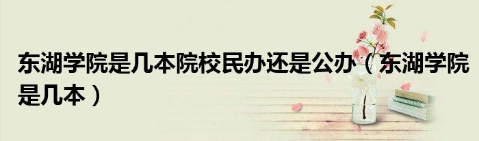 東湖學(xué)院是幾本院校民辦還是公辦（東湖學(xué)院是幾本）