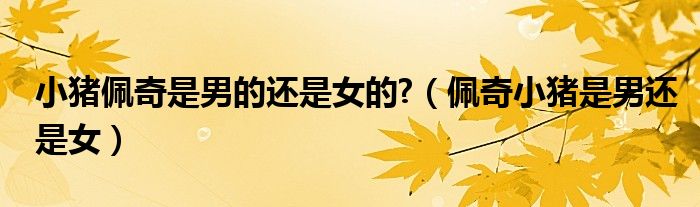 小豬佩奇是男的還是女的?（佩奇小豬是男還是女）