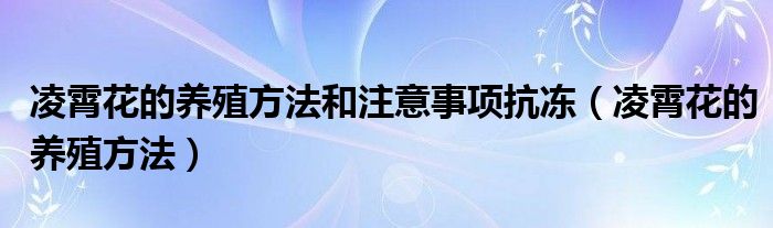 凌霄花的養(yǎng)殖方法和注意事項(xiàng)抗凍（凌霄花的養(yǎng)殖方法）