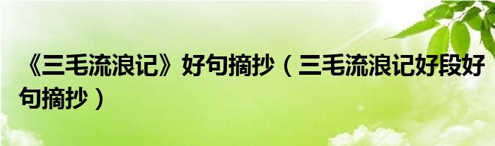 《三毛流浪記》好句摘抄（三毛流浪記好段好句摘抄）