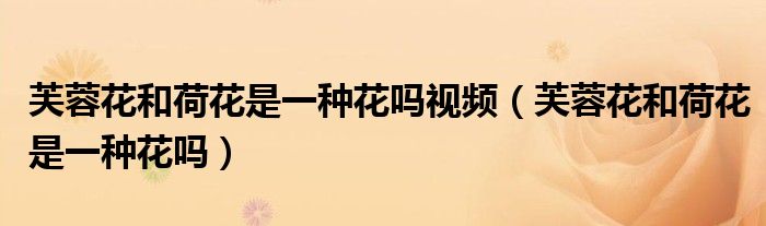 芙蓉花和荷花是一種花嗎視頻（芙蓉花和荷花是一種花嗎）