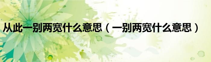 從此一別兩寬什么意思（一別兩寬什么意思）