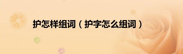 護(hù)怎樣組詞（護(hù)字怎么組詞）