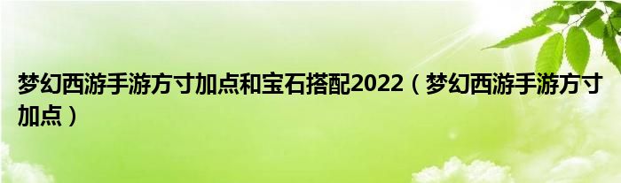 夢(mèng)幻西游手游方寸加點(diǎn)和寶石搭配2022（夢(mèng)幻西游手游方寸加點(diǎn)）