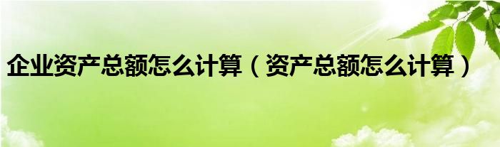 企業(yè)資產(chǎn)總額怎么計算（資產(chǎn)總額怎么計算）