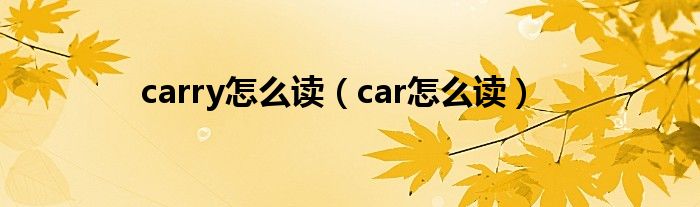carry怎么讀（car怎么讀）