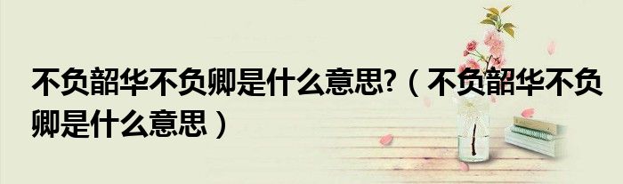不負(fù)韶華不負(fù)卿是什么意思?（不負(fù)韶華不負(fù)卿是什么意思）