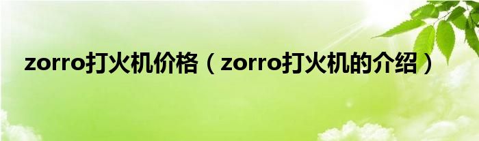 zorro打火機(jī)價(jià)格（zorro打火機(jī)的介紹）