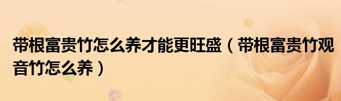 帶根富貴竹怎么養(yǎng)才能更旺盛（帶根富貴竹觀音竹怎么養(yǎng)）