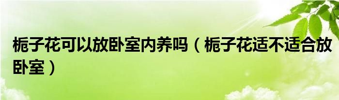 梔子花可以放臥室內(nèi)養(yǎng)嗎（梔子花適不適合放臥室）