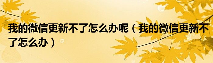 我的微信更新不了怎么辦呢（我的微信更新不了怎么辦）