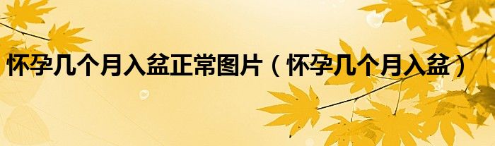 懷孕幾個月入盆正常圖片（懷孕幾個月入盆）