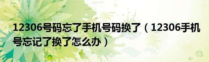 12306號(hào)碼忘了手機(jī)號(hào)碼換了（12306手機(jī)號(hào)忘記了換了怎么辦）