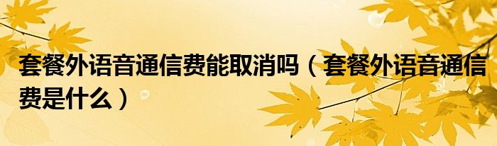 套餐外語音通信費能取消嗎（套餐外語音通信費是什么）