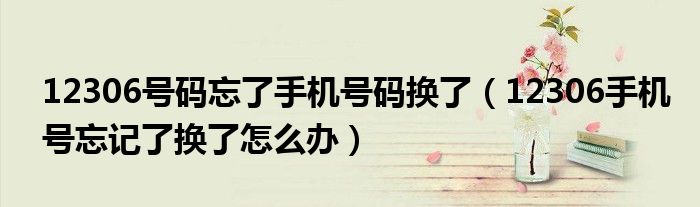 12306號(hào)碼忘了手機(jī)號(hào)碼換了（12306手機(jī)號(hào)忘記了換了怎么辦）