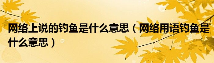 網(wǎng)絡(luò)上說的釣魚是什么意思（網(wǎng)絡(luò)用語釣魚是什么意思）