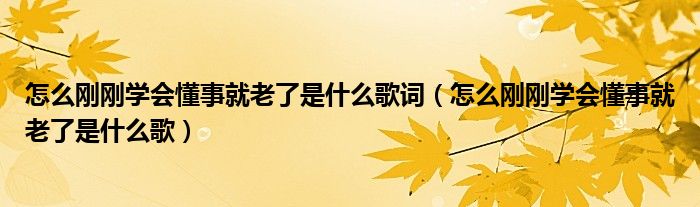 怎么剛剛學(xué)會(huì)懂事就老了是什么歌詞（怎么剛剛學(xué)會(huì)懂事就老了是什么歌）
