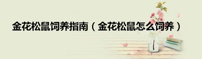 金花松鼠飼養(yǎng)指南（金花松鼠怎么飼養(yǎng)）