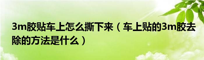 3m膠貼車上怎么撕下來（車上貼的3m膠去除的方法是什么）