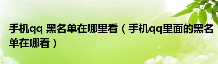 手機qq 黑名單在哪里看（手機qq里面的黑名單在哪看）