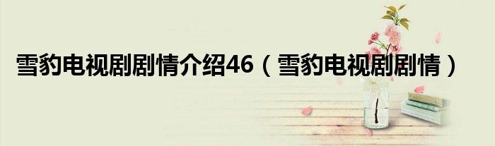 雪豹電視劇劇情介紹46（雪豹電視劇劇情）