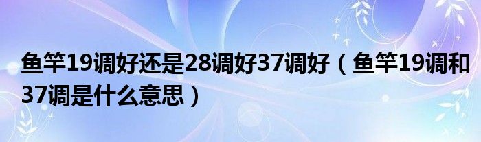 魚(yú)竿19調(diào)好還是28調(diào)好37調(diào)好（魚(yú)竿19調(diào)和37調(diào)是什么意思）