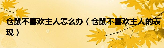 倉(cāng)鼠不喜歡主人怎么辦（倉(cāng)鼠不喜歡主人的表現(xiàn)）