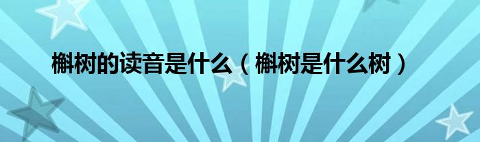 槲樹的讀音是什么（槲樹是什么樹）