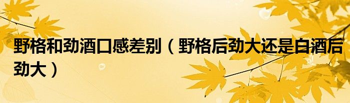 野格和勁酒口感差別（野格后勁大還是白酒后勁大）
