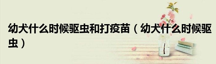 幼犬什么時(shí)候驅(qū)蟲和打疫苗（幼犬什么時(shí)候驅(qū)蟲）