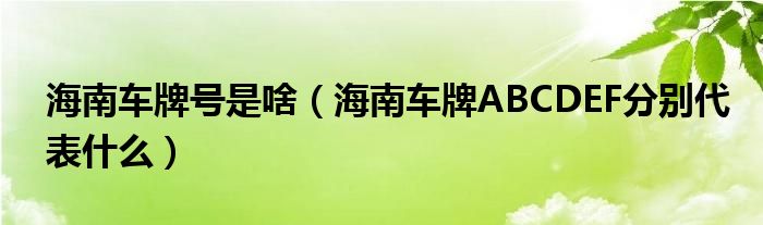 海南車牌號(hào)是啥（海南車牌ABCDEF分別代表什么）