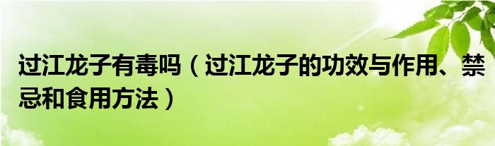 過(guò)江龍子有毒嗎（過(guò)江龍子的功效與作用、禁忌和食用方法）
