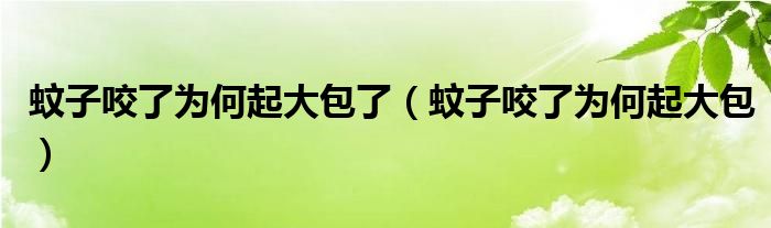 蚊子咬了為何起大包了（蚊子咬了為何起大包）