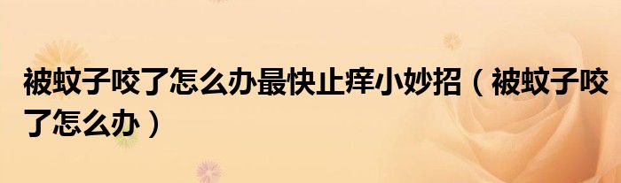 被蚊子咬了怎么辦最快止癢小妙招（被蚊子咬了怎么辦）