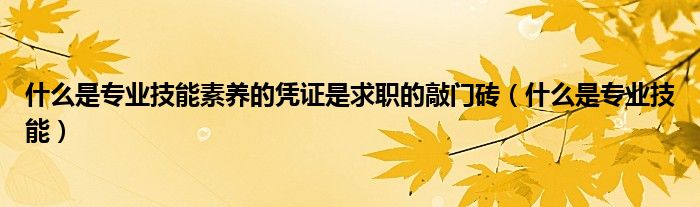 什么是專業(yè)技能素養(yǎng)的憑證是求職的敲門磚（什么是專業(yè)技能）
