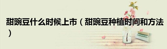 甜豌豆什么時候上市（甜豌豆種植時間和方法）