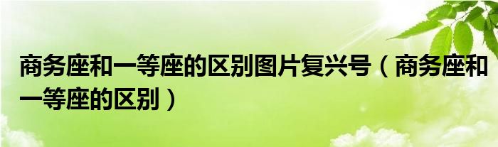 商務(wù)座和一等座的區(qū)別圖片復(fù)興號(hào)（商務(wù)座和一等座的區(qū)別）
