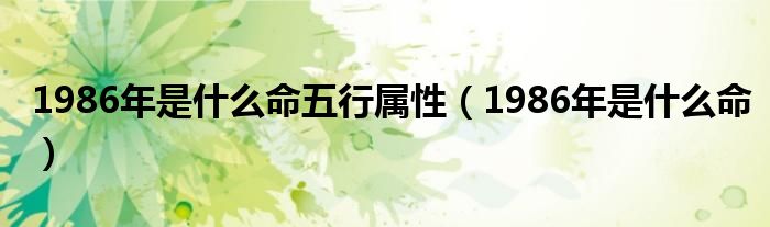 1986年是什么命五行屬性（1986年是什么命）
