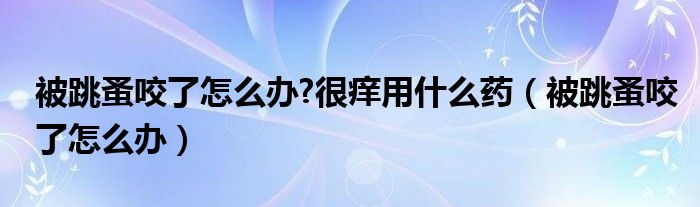被跳蚤咬了怎么辦?很癢用什么藥（被跳蚤咬了怎么辦）