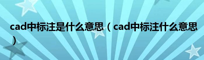 cad中標(biāo)注是什么意思（cad中標(biāo)注什么意思）