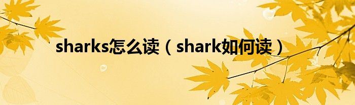 sharks怎么讀（shark如何讀）