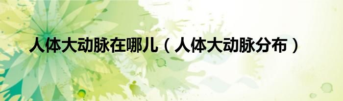 人體大動脈在哪兒（人體大動脈分布）