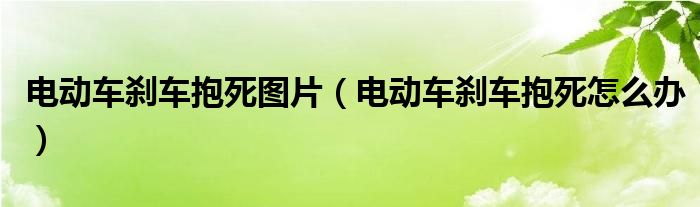 電動車剎車抱死圖片（電動車剎車抱死怎么辦）