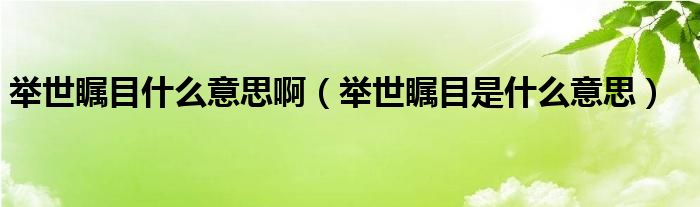 舉世矚目什么意思?。ㄅe世矚目是什么意思）