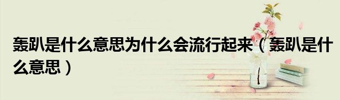 轟趴是什么意思為什么會流行起來（轟趴是什么意思）
