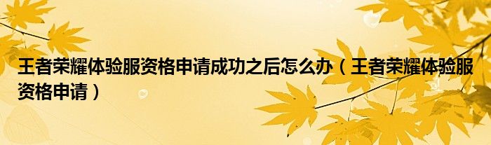 王者榮耀體驗服資格申請成功之后怎么辦（王者榮耀體驗服資格申請）