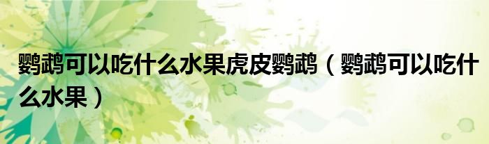 鸚鵡可以吃什么水果虎皮鸚鵡（鸚鵡可以吃什么水果）