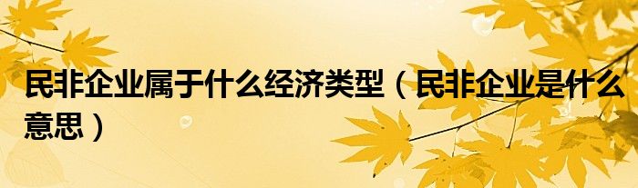 民非企業(yè)屬于什么經(jīng)濟類型（民非企業(yè)是什么意思）
